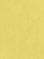 The Yellow Beach Men's 5" Swimming Trunks - Image 7