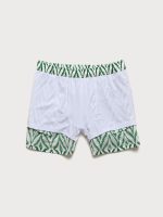 The Green Geometric Beach Men's 5" Swimming Trunks - Image 3