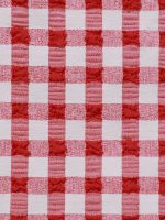 Red Gingham Double Strap Triangle Bikini Top - Image 8