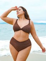 Dark Coffee V Cut Plus Size Bikini Bottom - Image 3
