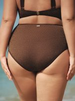 Dark Coffee Lurex Plus Size Bikini Bottom - Image 2
