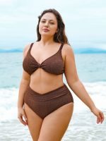 Dark Coffee V Cut Plus Size Bikini Bottom - Image 4