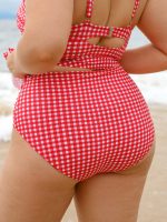 Red Gingham Plus Size Tankini Bottom - Image 2