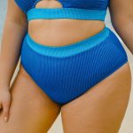 Blue High-Waist Plus Size Bikini Bottom