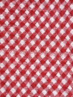 Red Gingham Plus Size Full Coverage Swim Shorts - Image 7