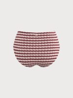 Wine Red Stripe Plus Size Bikini Bottom - Image 6