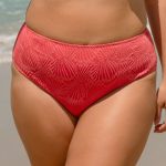 Red Jacquard Plus Size Bikini Bottom